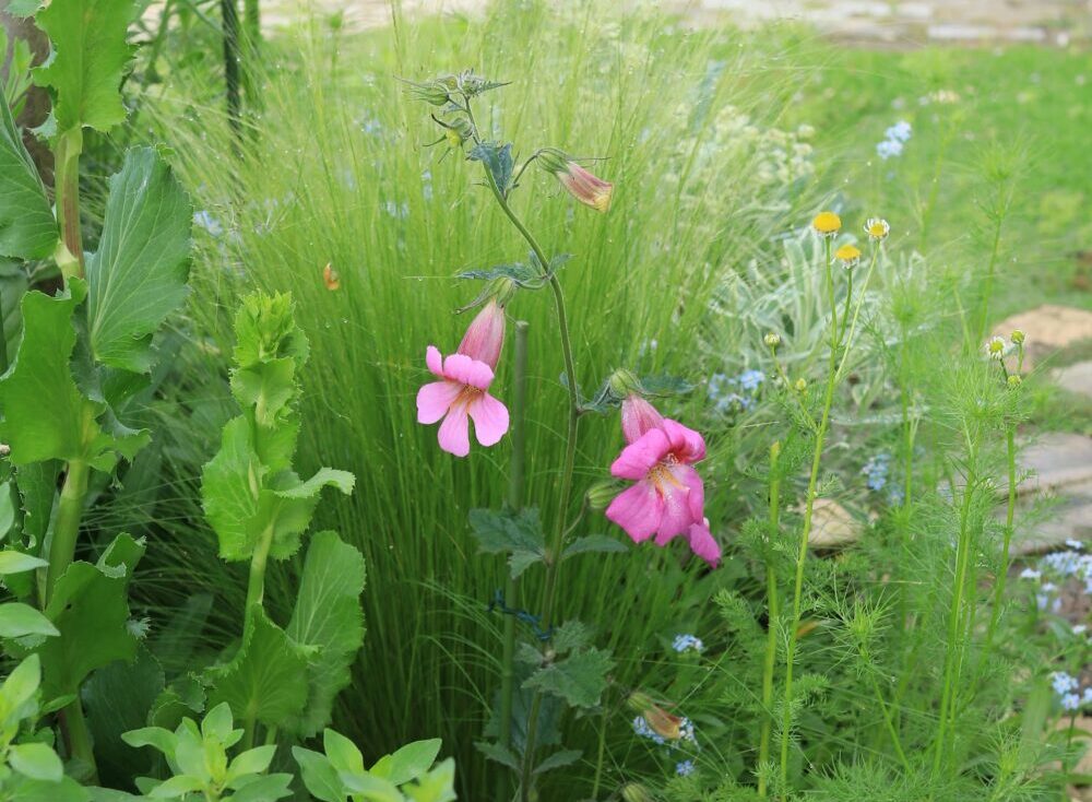 副作用はありますか?